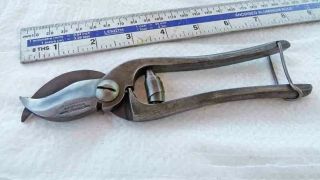 Vintage 7 " Secateurs Or Pruners By Rgon & Ball Ltd,  Fully