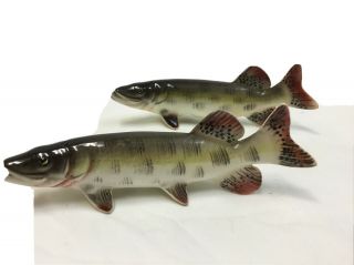 Vintage Muskellunge Fish Salt Pepper Shakers Vcagco Japan Ceramic 5.  5 " Long