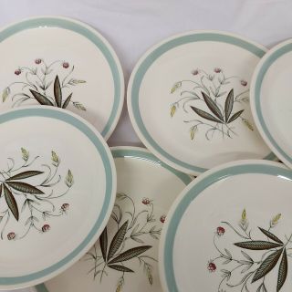 Set Of 6 X Alfred Meakin Vintage Hedgerow Dinner Plates 10 Inch Circa 1960.  Vgc.