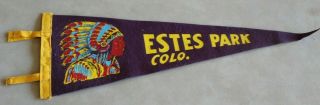 Vintage - - Estes Park,  Colorado - - Pennant /banner Approx.  17 1/2 " Purple Felt