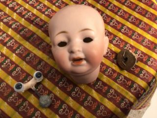 Antique Bisque Baby Doll Head - Needs Tlc