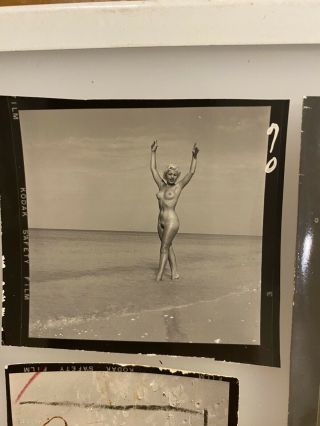 10 Vintage Bunny Yeager Nude Model Contact Sheet Photos,  From Yeager Archive 2