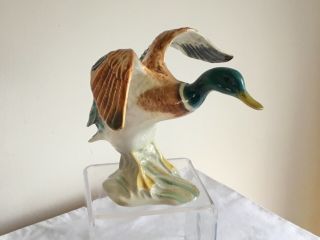 Vintage Beswick Pottery Figure Settling Mallard Duck Model No 750