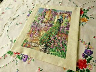 Vintage Hand Embroidered Picture Panel - Tiny Cross Stitch/ Peacock/lovely Florals