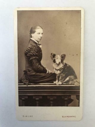 1800s Cdv Photo Girl With Her Dog Blairgowrie And Alyth Studio Scotland