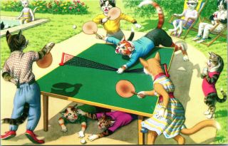Vtg Alfred Mainzer Anthropomorphic Cats Play Ping Pong Table Tennis Postcard