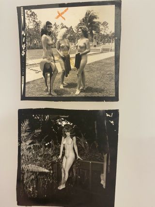 4 Vintage Bunny Yeager Nude Model Contact Sheet Photos,  From Yeager Archive 3