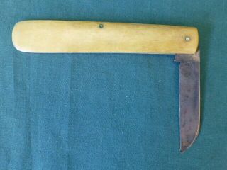 Vintage J A Henckels Single Blade Bone Handle Knife