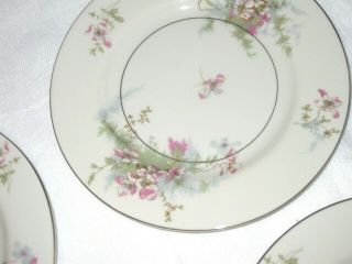 6 Vintage Theodore Haviland York Apple Blossom China 10 5/8 " Dinner Plates