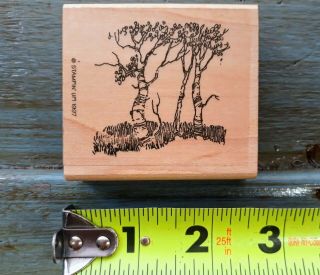 Vintage Tree Rubber Stamp By Stampin 