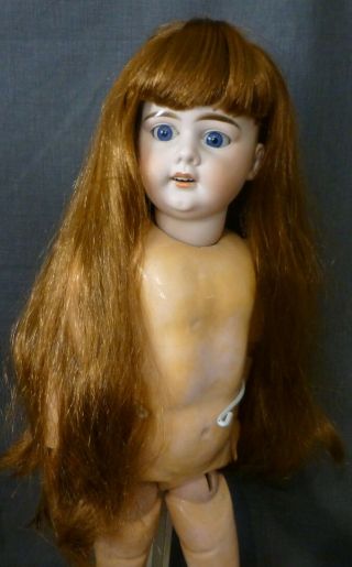 14 " Aub Doll Wig For Vintage Doll,  Wig For Antique Doll,  Large Doll Wig