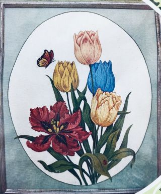 Paragon Tulip Fantasy Crewel Stitchery Vintage Kit 0805 Adele Veres 26 X 30” Vtg
