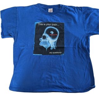 The Homer Simpsons Shirt Vintage 2001 This Is Your Brain On Donuts Shirt Large