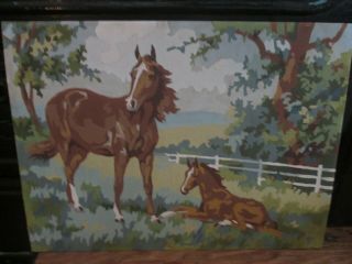 Vintage Paint By Number Pbn Horses Mare & Foal 15 7/8 " X 11 3/4 " Unframed