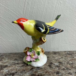 Vtg Royal Adderley Floral Bone China Finch Yellow Bird Figurine Made In England