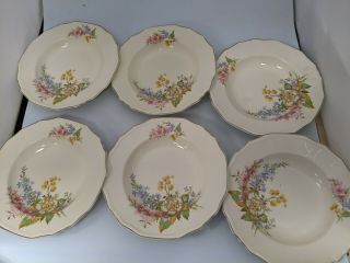 Alfred Meakin Posy Fruit/dessert Dishes Vintage X 6 Sh