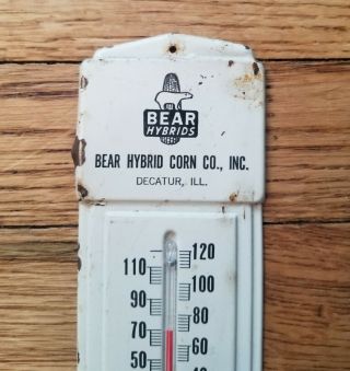Vintage Bear Hybrids Corn Seed Farm Metal Thermometer Sign - Extremely Rare