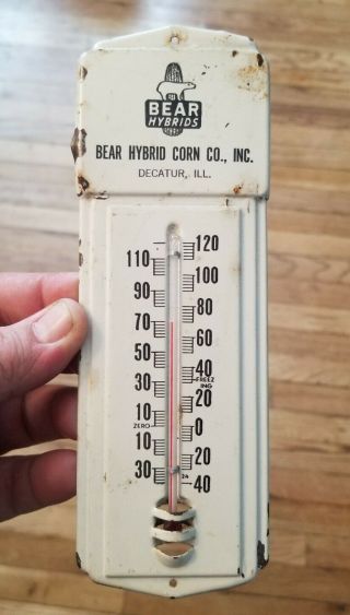 Vintage Bear Hybrids Corn Seed Farm Metal Thermometer Sign - EXTREMELY RARE 3
