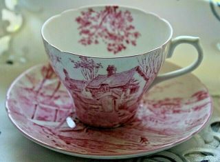 Vintage Shelley Cup & Saucer Set In Red Glorious Devon