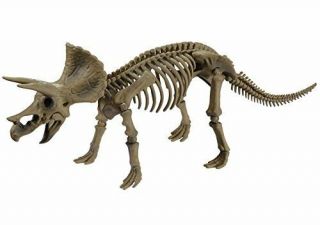 Pose Skeleton Dinosaur Series 102 Triceratops Japan
