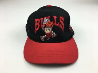 Vintage 1994 Youth Sized Nba Chicago Bulls Tasmanian Devil Looney Tunes Hat