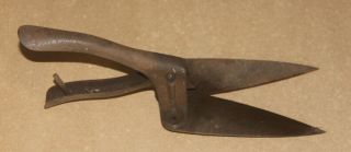 Vintage Auto Small Garden Shears Or Grass Clippers,  Topiary,  Borders,