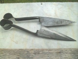 Vintage Sheep Shears / Garden Topiary Clippers Made In England.