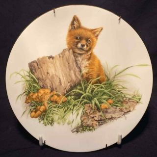 Vintage Fox Plate By Cj Adams And Co Ltd - England,  Porcelain,  China,  Ceramic