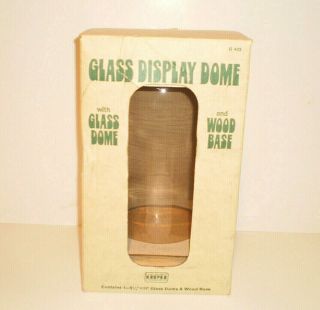 Vtg.  Hazel Pearson 5.  5 " X 11 " Glass Display Dome Cloche Wood Base 1970s