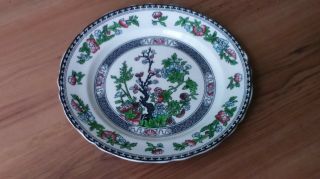 Vintage 1930s Midwinter Large Dinner Plate Indian Tree Pattern Vgc