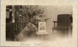 Vintage Photo Dog Sitting With Photo Of Wwii Soldier Not Home For Christmas