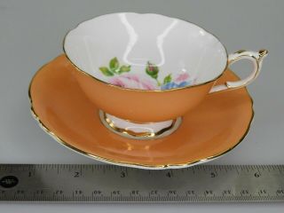 WONDERFUL PARAGON  CABBAGE ROSE  TEA CUP AND SAUCER ROSES Peach color? VINTAGE 2