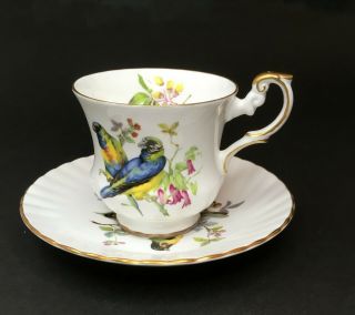 Vintage Rosina Teacup And Saucer White W/song Birds Bone China Made In England