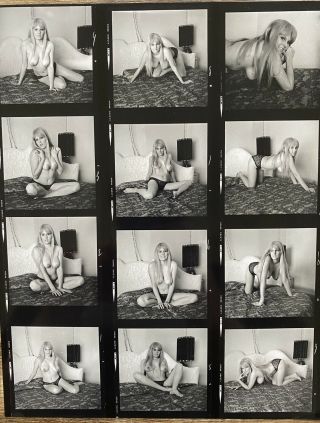 Vintage Bunny Yeager Nude Model Full Contact Sheet,  Photos From Yeager Archive 3