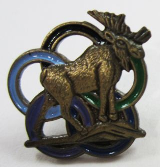 Vintage Loyal Order Of Moose Lodge Pin Fraternal Council Of Higher Degrees