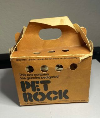 Vintage 1975 Pet Rock,  Box,  Bedding,  And Booklet