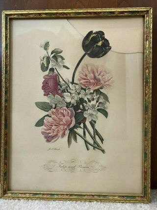 Vintage J L Prevost Art Print Tulip And Peonies In Frame
