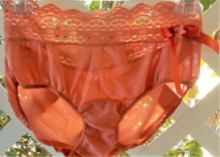 Vtg Olga Rustic Orange With 3 " Lace Waistband Back Seamed Panty 6/m