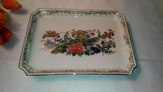 Vintage Porcelain Sushi Plate - Hand Painted Peacock And Floral Design