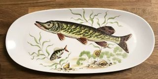 Gorgeous Vtg Naaman Israel Oval Porcelain 14 " Fish Platter Plate For Holidays