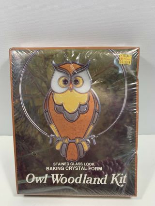 Vintage Eze Stained Glass Craft Kit Woodland Owl Ak - 28 Baking Crystals
