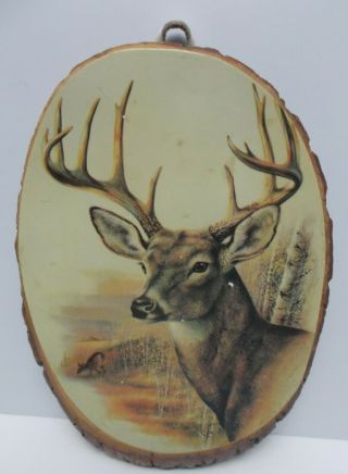 Vintage Rustic Wall Plaque Whitetail Buck Deer With Big Rack Tree Bark Slice