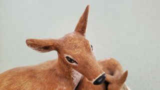 Vintage Lifelike Ceramic Hand Painted Deer Family Figurine Signed & Dated 1982 3