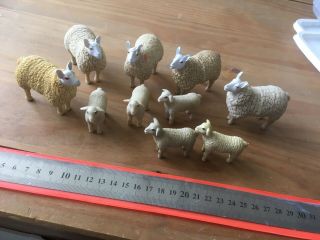 Farm Animals Toys Plastic Models Figures Border Leicester Type Sheep With Lambs 3