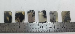 6 Vintage Dendritic Cabochons Moss/trees In Agate 278