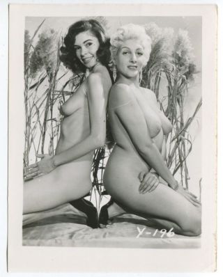 Stunning Females Great Round Busty Boobs 1950 Vintage Pinup Photo B5343