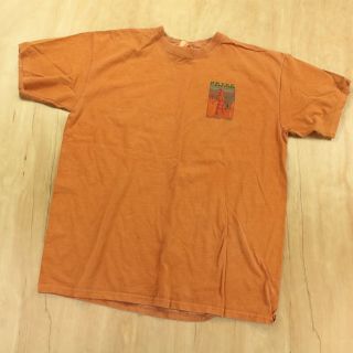 Bryce Canyon National Park t - shirt LARGE vtg 90s 00s y2k utah nature print usa 2