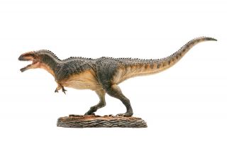 Pnso 1:35 Scale Lucas The Giganotosaurus Dinosaur Model Bnib
