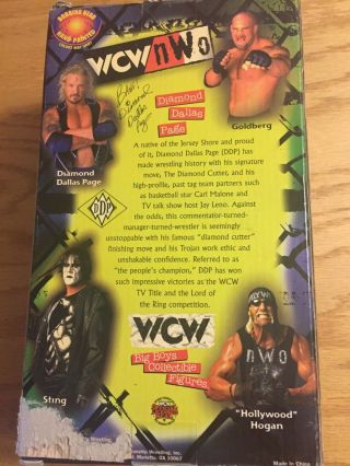 WCW NWO Big Boys Figures 7 