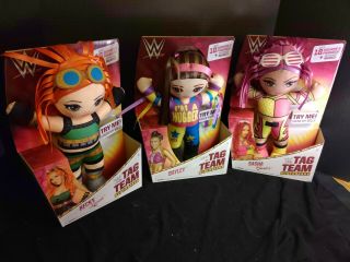 Mattel Wwe Tag Team Superstars Becky Sasha Bayley 14 " Talking Plush Doll Bundle